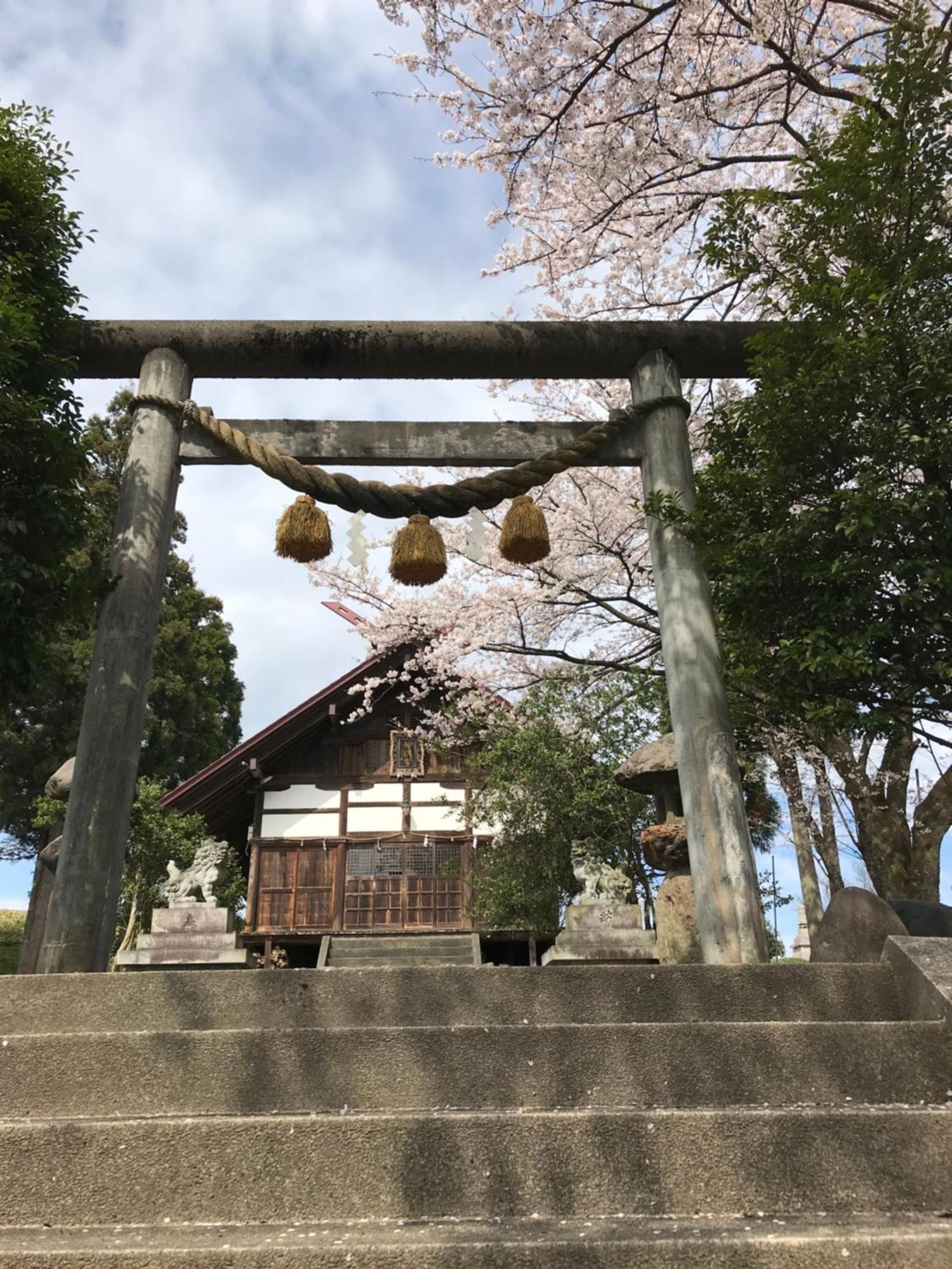 ヨーコのお宿 わくわく Toyama Station Extérieur photo