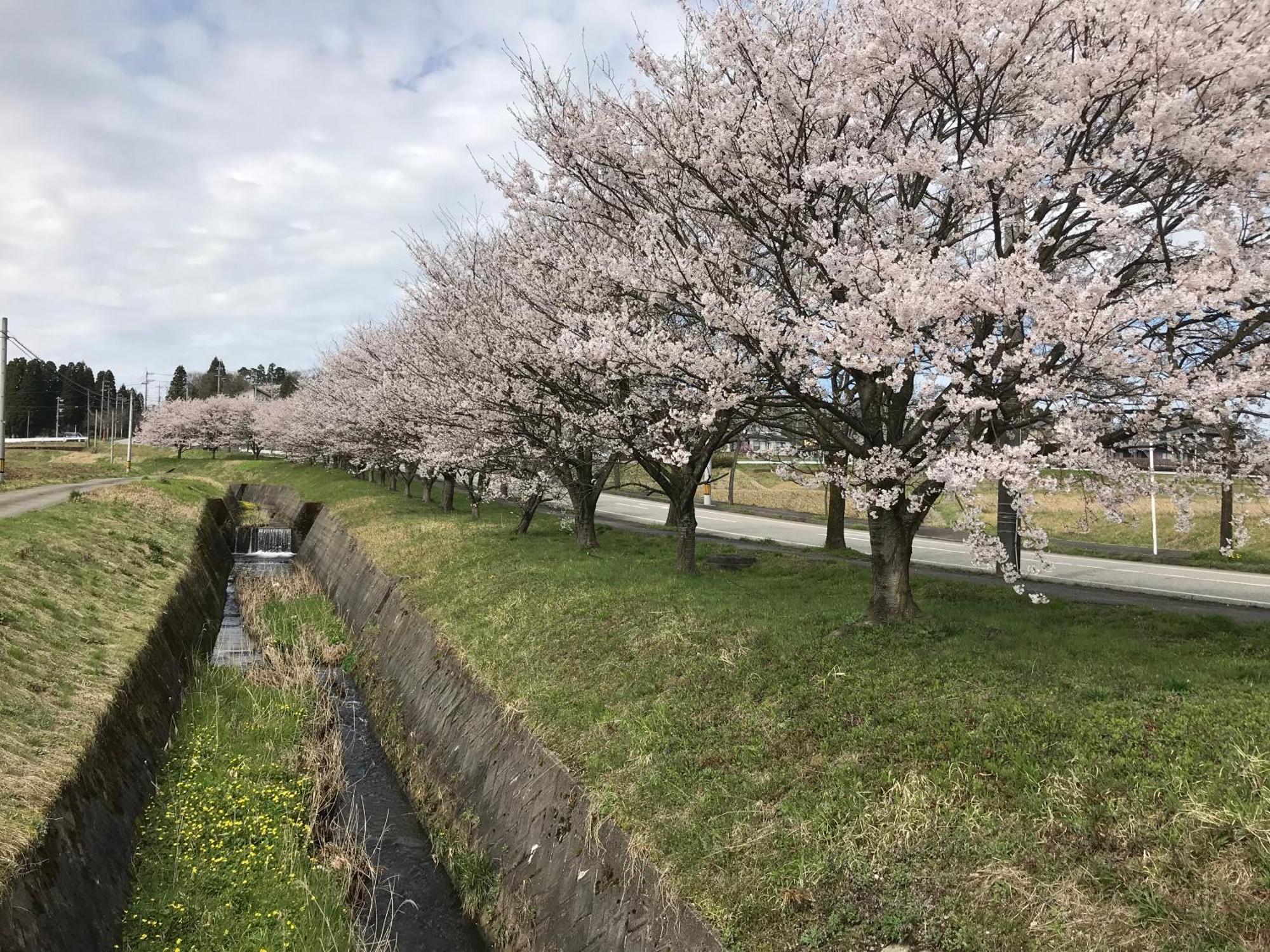ヨーコのお宿 わくわく Toyama Station Extérieur photo